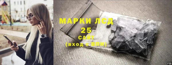 шишки Верхний Тагил