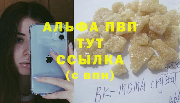 шишки Верея