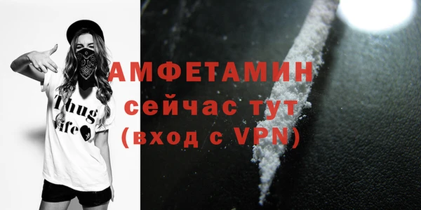 шишки Верея