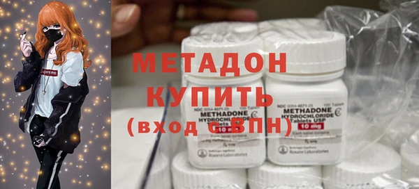 шишки Верея