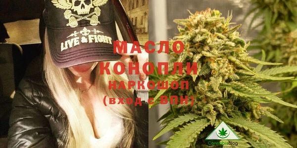 шишки Верхний Тагил