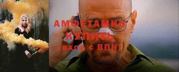 шишки Верея