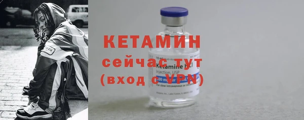 шишки Верея