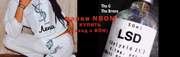 шишки Верея