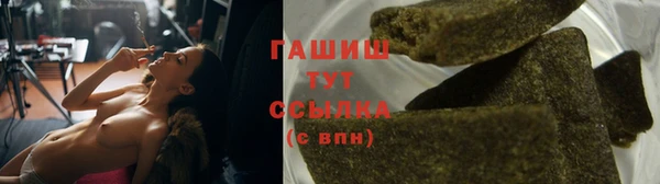 шишки Верея