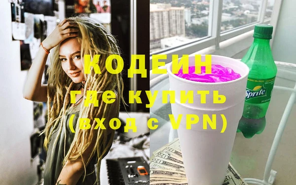шишки Верея
