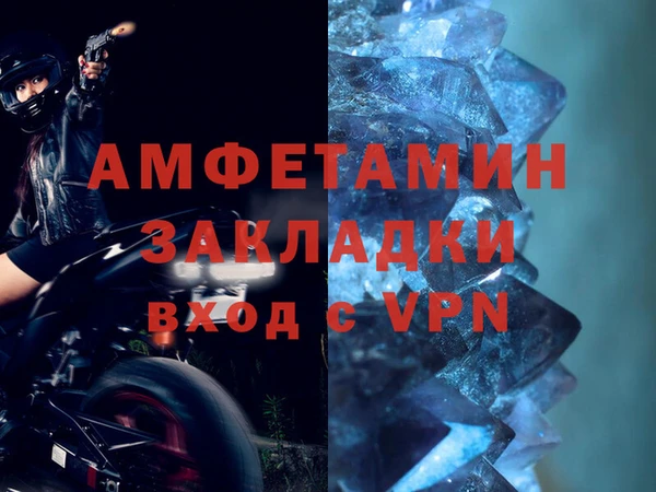 шишки Верея