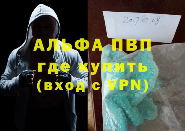 шишки Верея