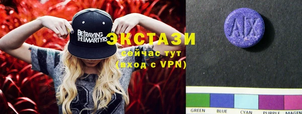 шишки Верхний Тагил