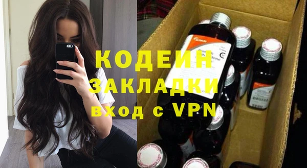 шишки Верея