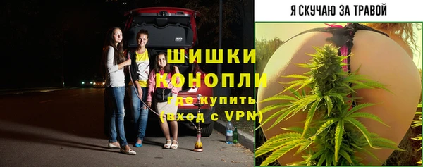 шишки Верхний Тагил